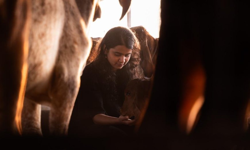 "From PCOS to Protein Powerhouse: How One Woman's Health Journey Birthed Jogurt, India's Clean-Label Greek Yogurt Revolution"