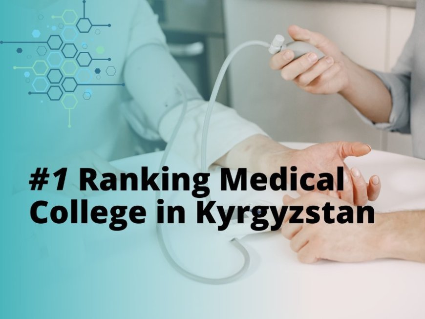 IEU Bishkek Ranked 1 in Scientific Citations &amp; National Rankings 2024