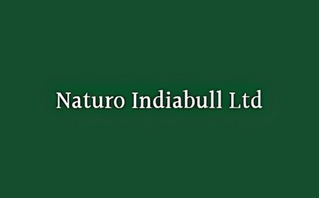Naturo Indiabull’s profit jumps over 114 percent to Rs. 49.3 lakh in first half of FY 2025