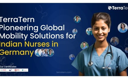 TerraTern: Pioneering Global Mobility Solutions for Indian Nurses in Germany