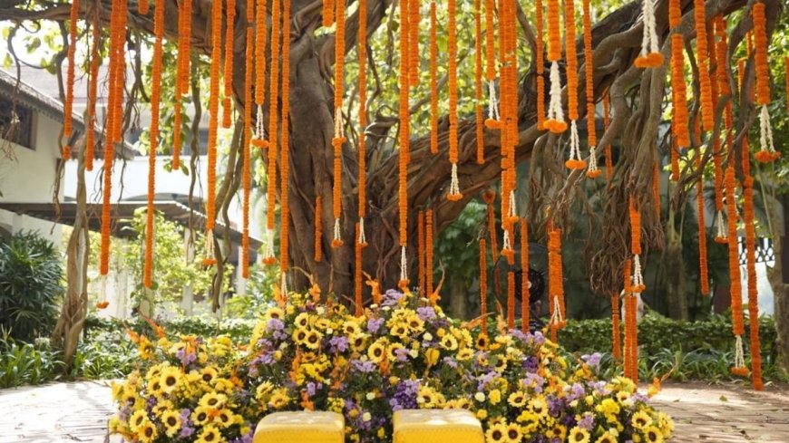 Why More Couples Are Choosing India for Their Destination Wedding in 2025