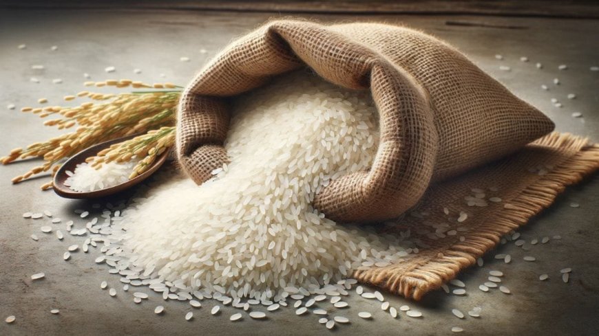 Bagadiya Brothers Pvt Ltd Wins Four Rice Export Tenders with Bangladesh