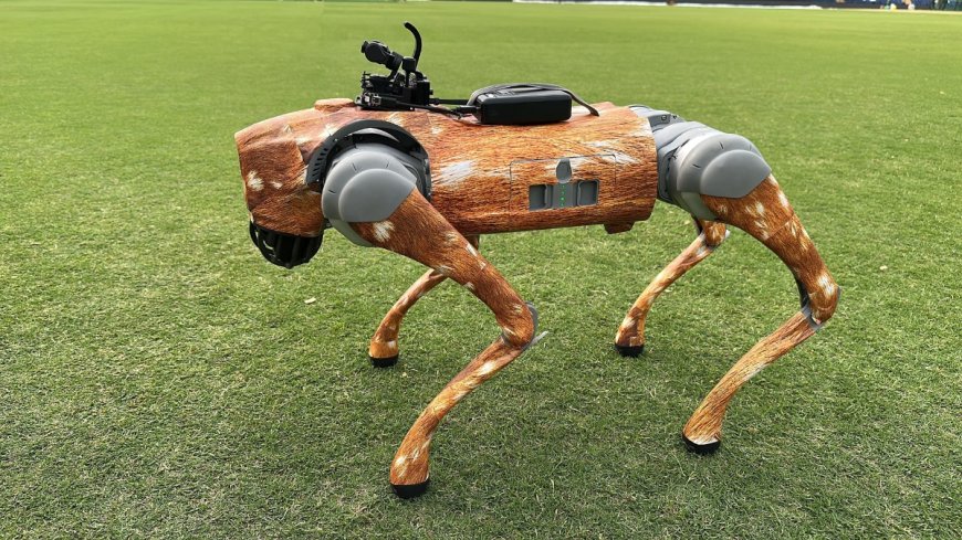 wTVision Creates Big Impact At IPL With Its Robotic Dog Camera, A Spectacular Tech Innovation