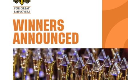 Winners in 2025 Stevie® Awards for Great Employers Announced