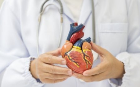 Bajaj Finance launches 'Loan Utsav' offer on doctor loan with cashback benefits up to Rs. 5,000