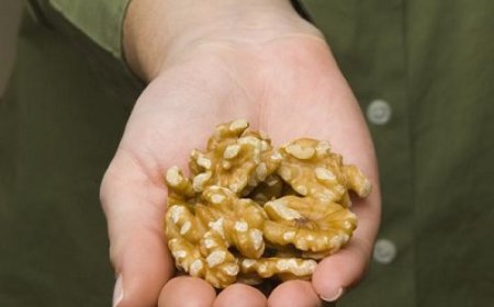 Walnuts Among Omega-3 Foods Linked to Brain Development Benefits in Children and Adolescents