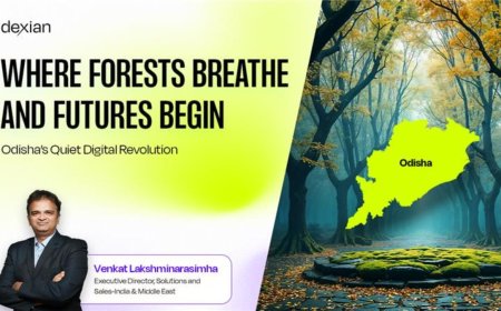 Where Forests Breathe and Futures Begin: Odisha’s Quiet Digital Revolution