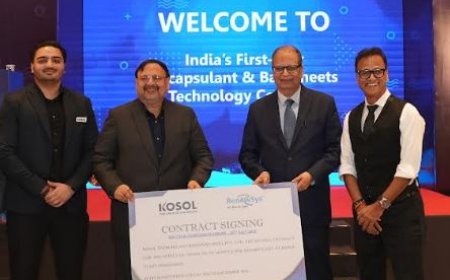 RenewSys Signs 700 MW POE Encapsulant Agreement with Kosol Energie