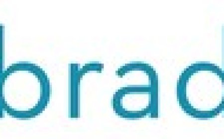 Latest Economy Observer report from Dun & Bradstreet highlights domestic resilience under threats of higher-than-expected US tariffs