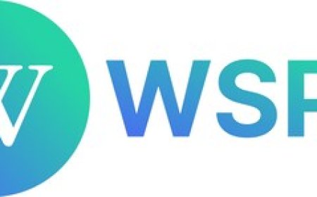 WSPN Advances the Productization of Stablecoin Scenarios for Enterprise Adoption