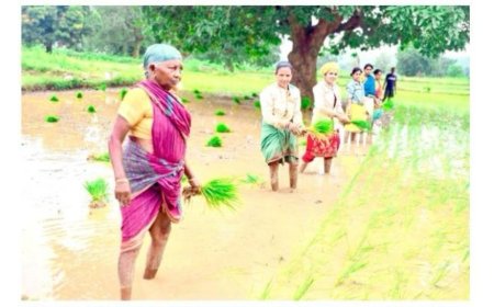 Vedanta Lanjigarh Scales Up System of Rice Intensification (SRI) in Kalahandi, Under Project Sangam