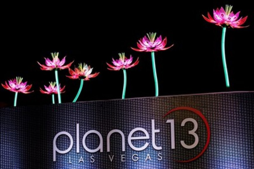 Introducing "Planet the 13th Night Market" a New Monthly Indoor Art and Makers Market Kicking-off August 13, 2025, at the Planet 13 Entertainment Complex