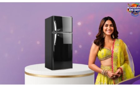 Refrigerators That Fit Every Budget and Festive Need