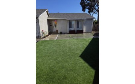Lush Artificial Grass Transforms Pet-Friendly California Home