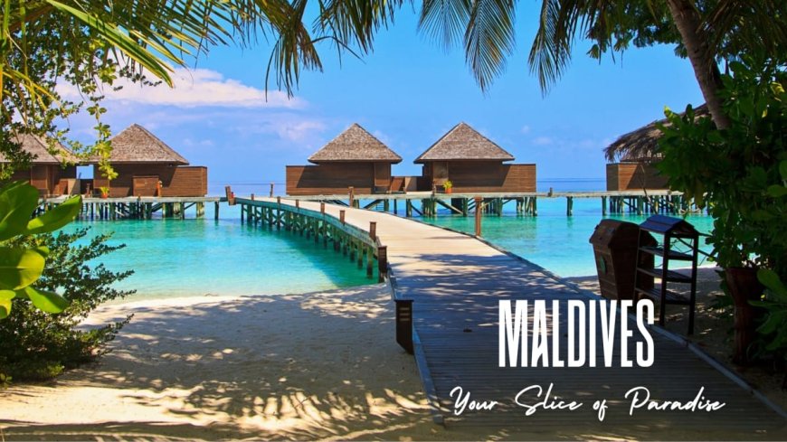 Eeka Bharat Launches Curated Luxury Tours Across India and Abroad: Unforgettable Journeys Await