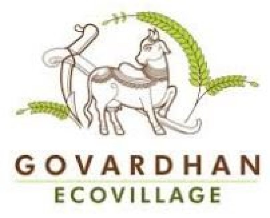 Molina Healthcare, Inc. Sued for Securities Law Violations – Contact the DJS Law Group to Discuss Your Rights