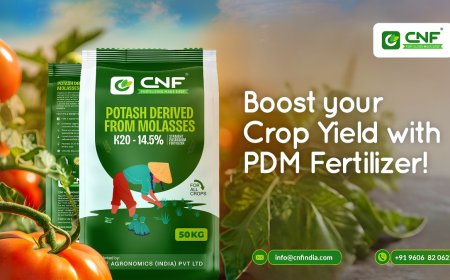 CNF Phosphates Leads India’s Push Toward Self-Reliance With High-Quality PDM Production