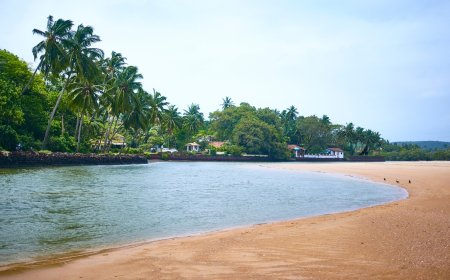 The Untouched Side of Goa: Beaches Perfect for a December Retreat