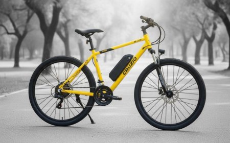CRUZIO BIKES Receives Order for 230 Electric Bicycles from Himachal Pradesh Development Department