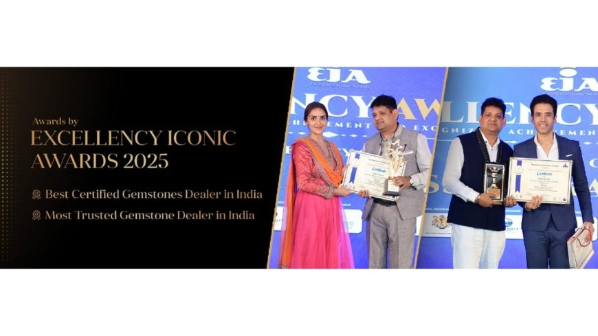 Transforming an Industry: How Dhanshree Gems Is Changing the Way the World Buys Gemstones