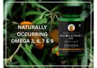 GreenOpia Sea Buckthorn Oil Capsules: The Natural Path to Inner Wellness and Radiant Health