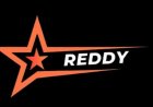 Building Brands Through Insight and Innovation: An Exclusive Interaction with the Team Behind Reddy Marketing Agency
