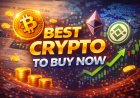 Best Crypto to Buy Now Feb 2026: DeepSnitch AI’s 159 Percent Price Surge Fuels High Buying Volume as Siren Plummets, Analyst Warns Bitcoin Could Fall to USD 50K Before Finding True Bottom