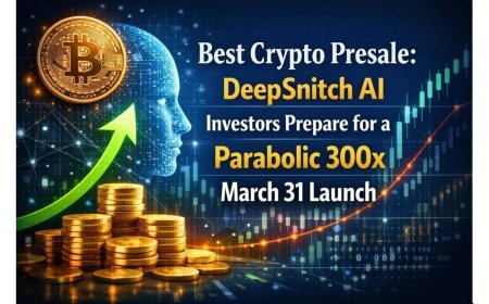 Best Crypto Presale: DeepSnitch AI Investors Prepare for a Parabolic 300x March 31 Launch, LIVE Provides Uniqueness, DOGEBALL Brings the Meme Energy