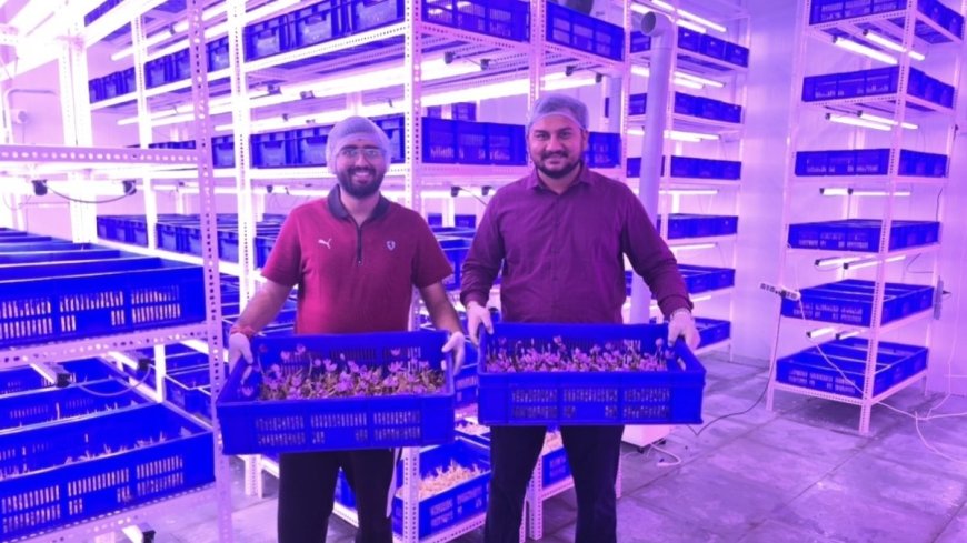 Rootious Organics Startup Revolutionizes Saffron Farming with Aeroponics, Setting New Standards for Purity and Innovation